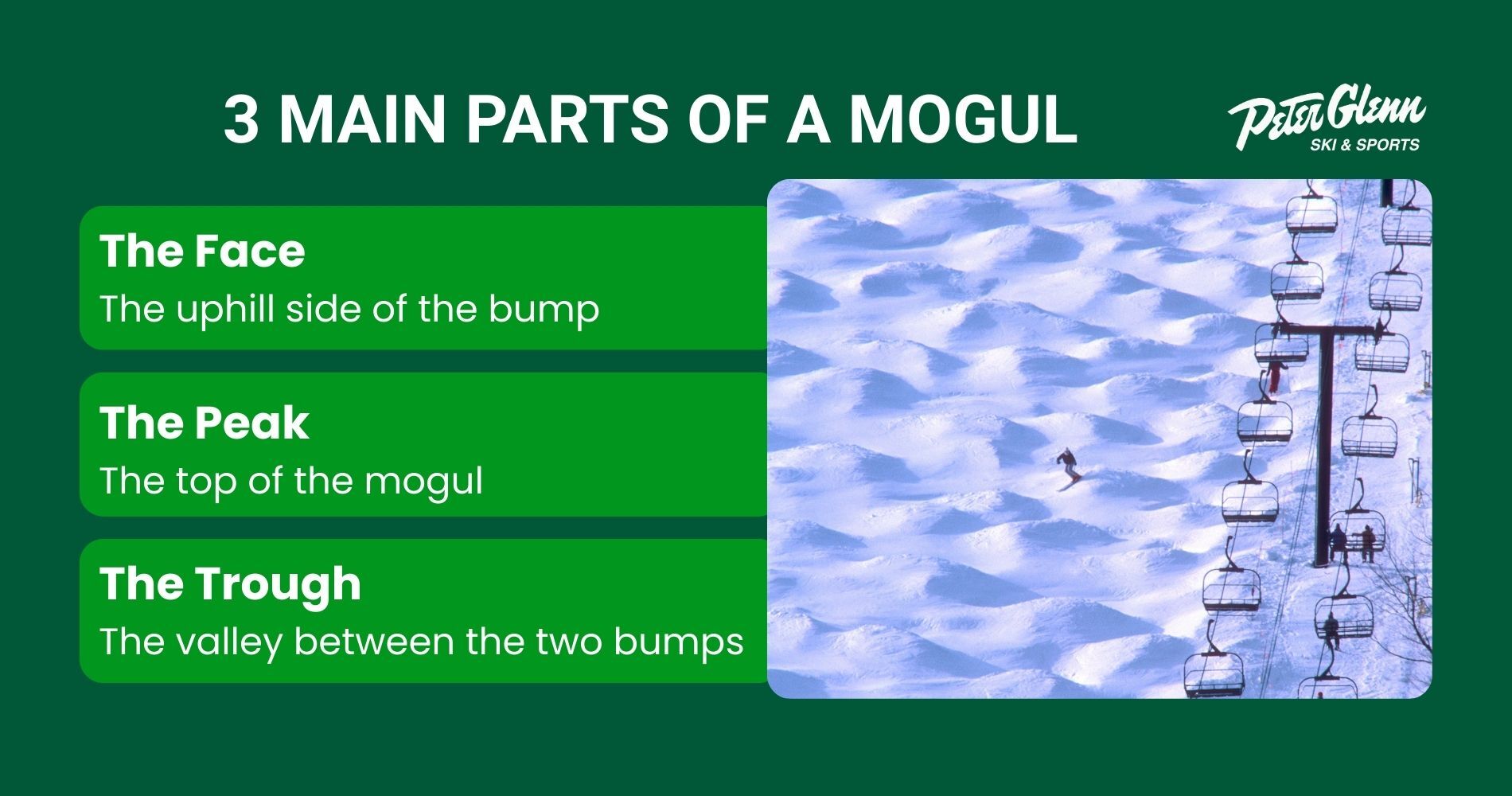 3 main parts of a mogul: the face, the peak, and the trough. peter glenn